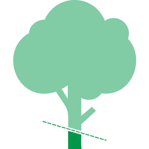 A green tree cut at the base icon